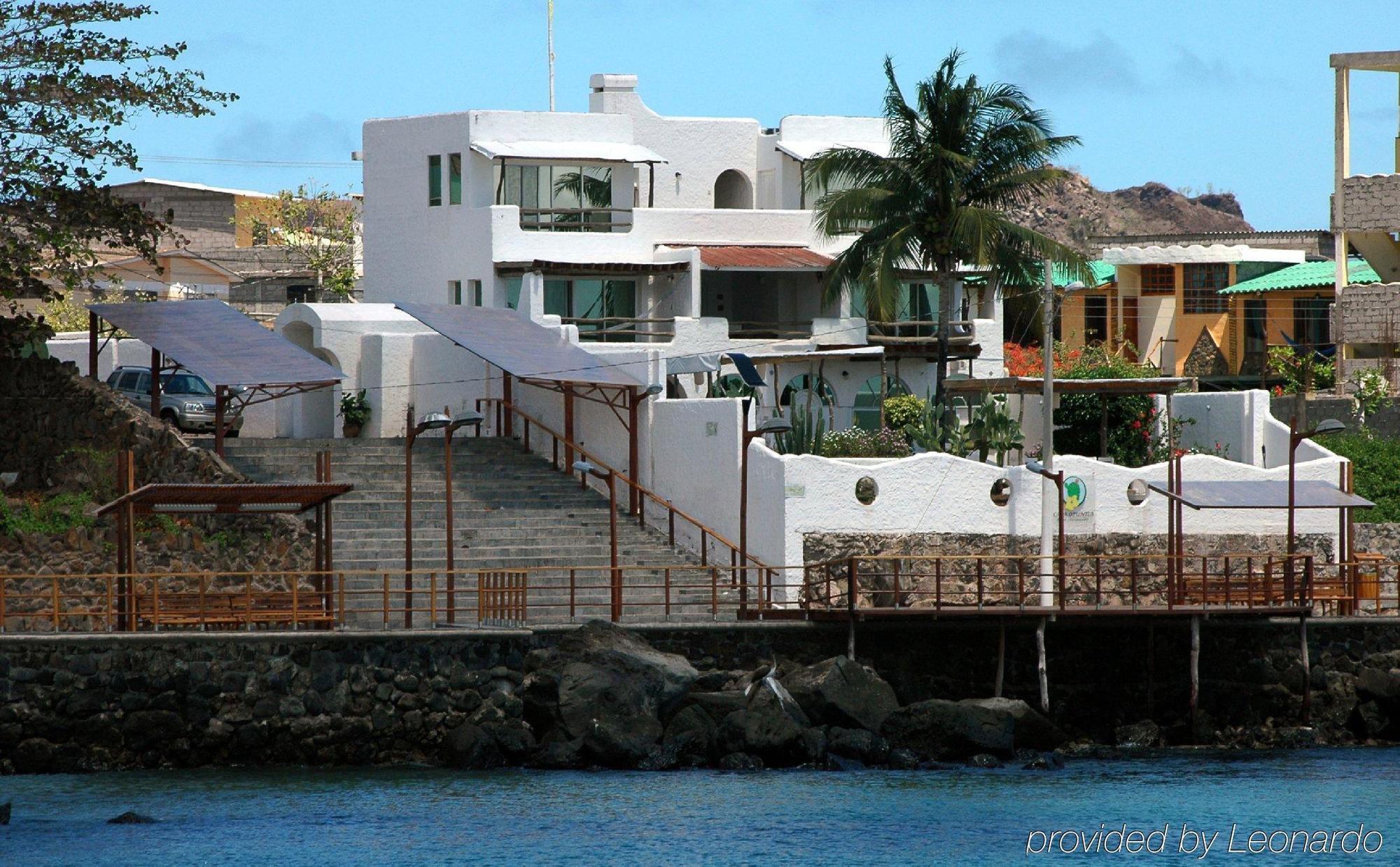 Bed and Breakfast Casa Opuntia Puerto Baquerizo Moreno Esterno foto